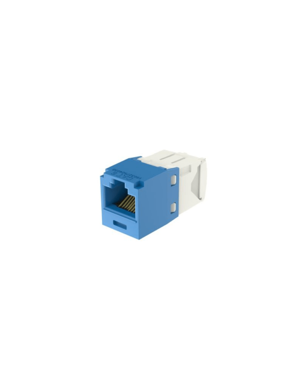 PANDUIT CJ688TGBU - Jack RJ45 / Categoría 6 / 8 Posiciones / 22-26 AWG / Azul #MCI1Q125