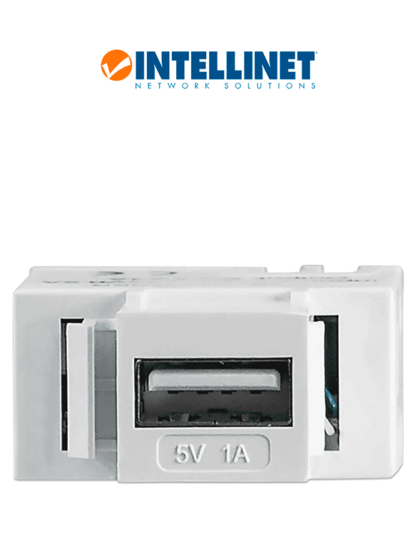 INTELLINET 772167 - Módulo USB de 5V 1 Amper, para placas de pared, Keystone