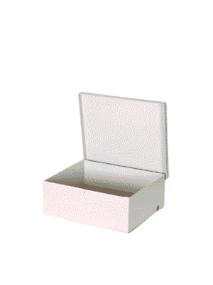 AV GMX004 GS004 - Gabinete Metálico para Modulos DSC SECO LARM