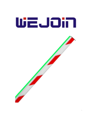 WEJOIN WJLBM6 - Brazo Recto Octagonal de 6 Metros con Led