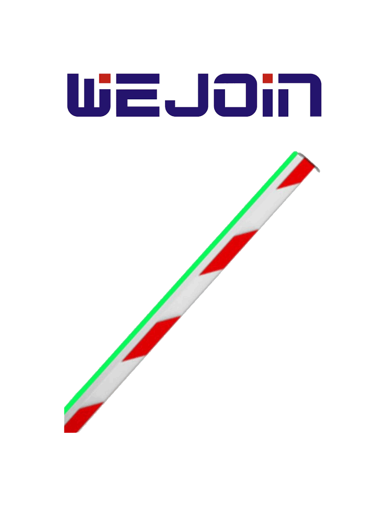 WEJOIN WJLBM6 - Brazo Recto Octagonal de 6 Metros con Led